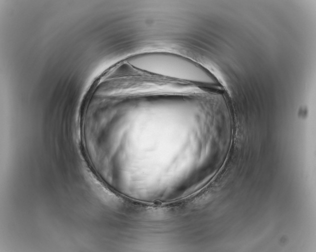 X0000091491080200709061855