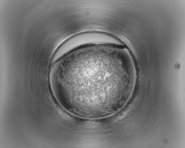 X0000091491081200709061855