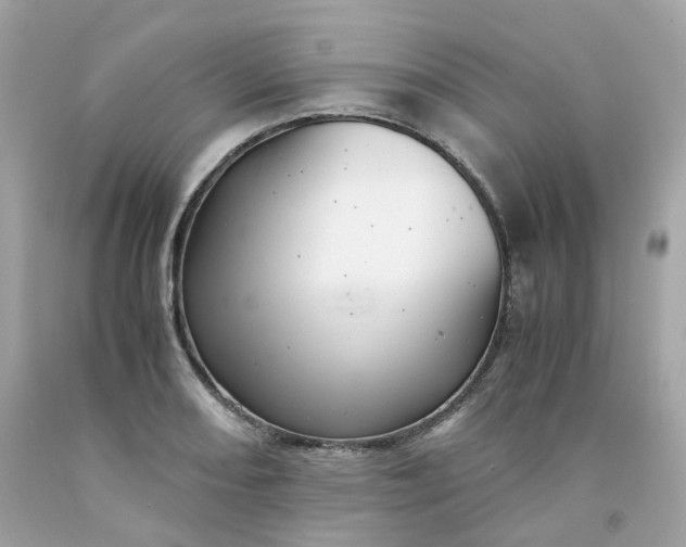 X0000091491082200709061855