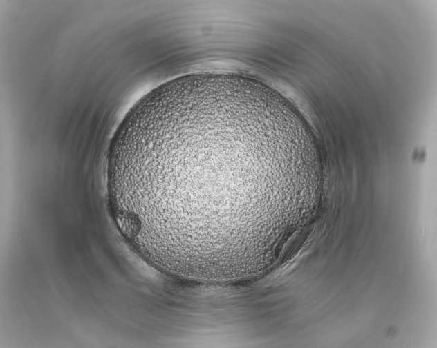 X0000091491083200709061855