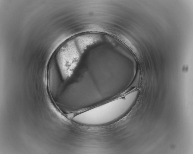 X0000091491084200709061855