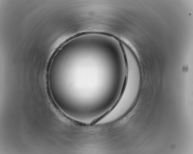 X0000091491085200709061855