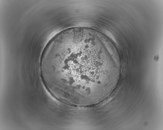 X0000091491087200709061855