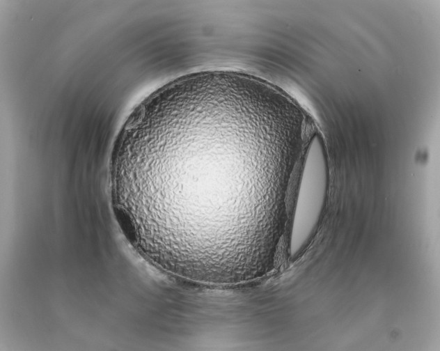 X0000091491088200709061855