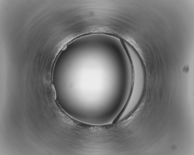 X0000091491089200709061855