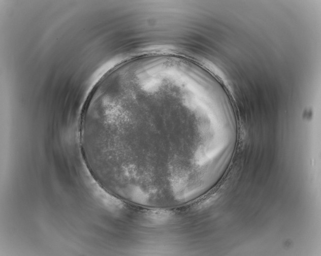 X0000091491090200709061855