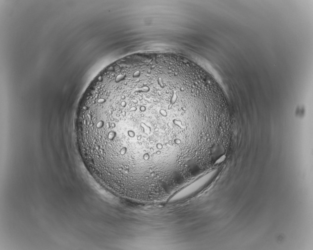 X0000091491091200709061855