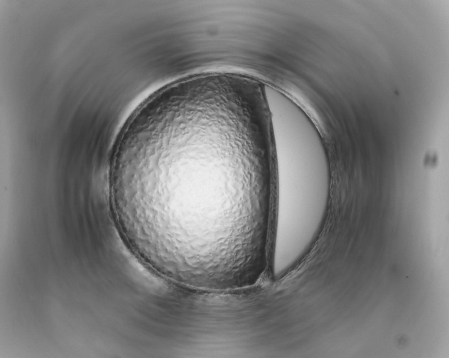 X0000091491092200709061855