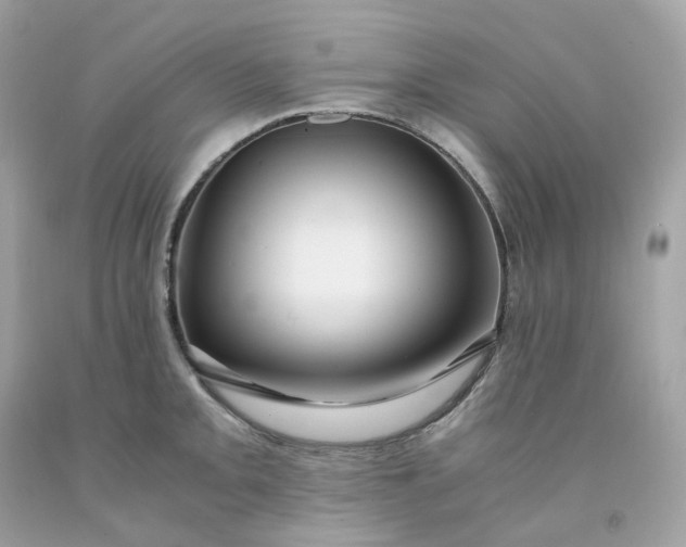 X0000091491093200709061855