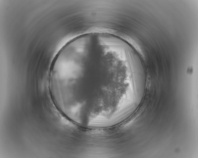 X0000091491094200709061855