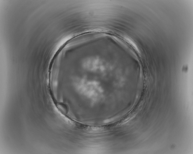 X0000091491095200709061855