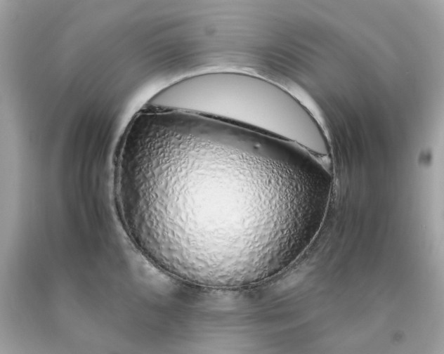 X0000091491096200709061855