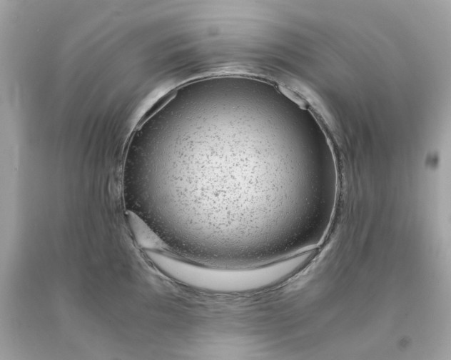 X0000091491097200709061855