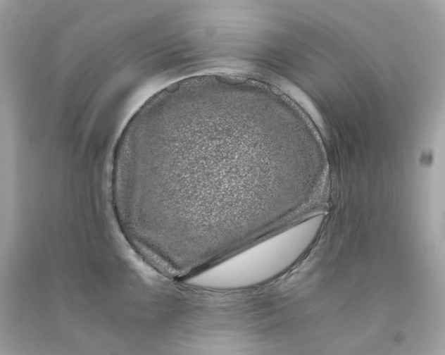 X0000091491099200709061855