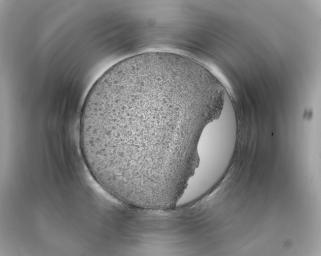 X0000091491100200709061855