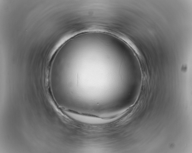 X0000091491101200709061855