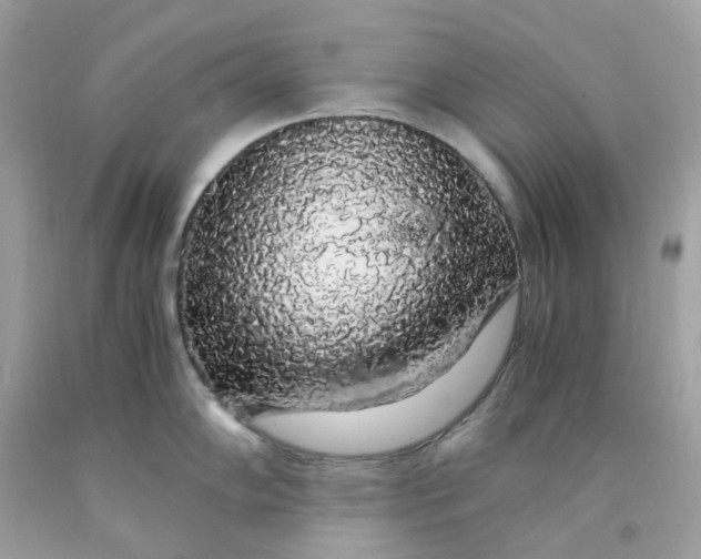 X0000091491102200709061855