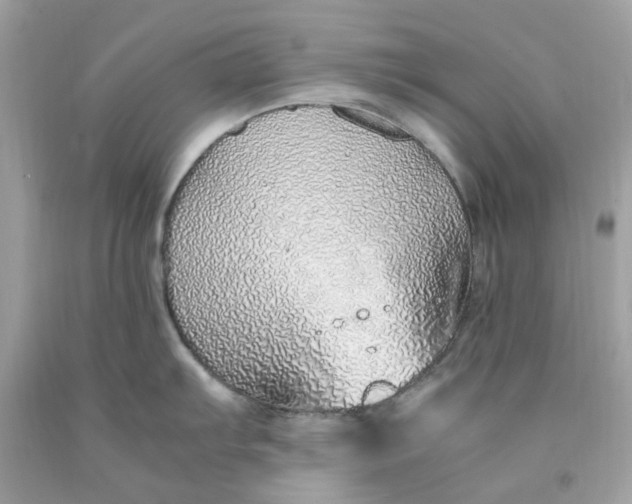 X0000091491103200709061855