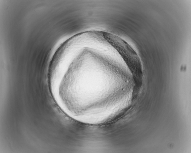 X0000091491104200709061855