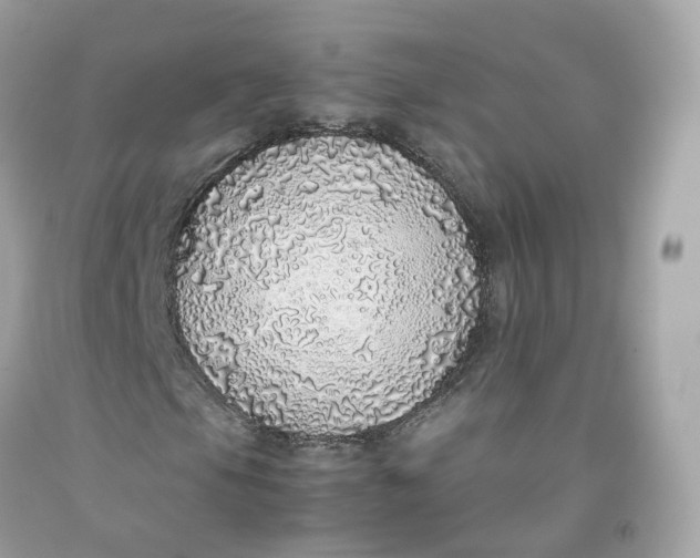 X0000091491105200709061855