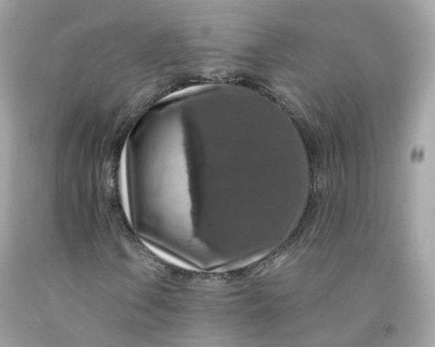 X0000091491106200709061855