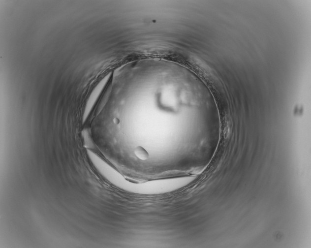 X0000091491108200709061855