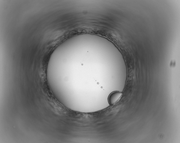 X0000091491109200709061855