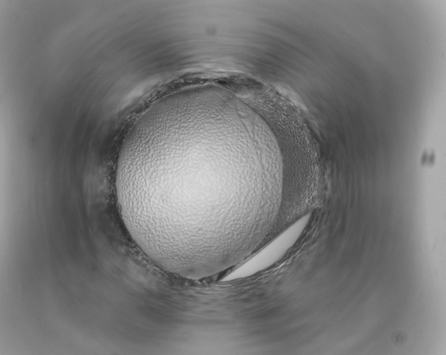 X0000091491110200709061855