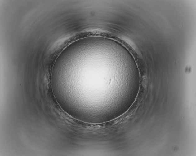 X0000091491111200709061855