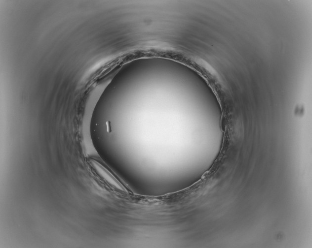 X0000091491112200709061855