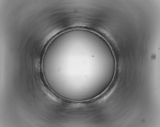 X0000091491113200709061855