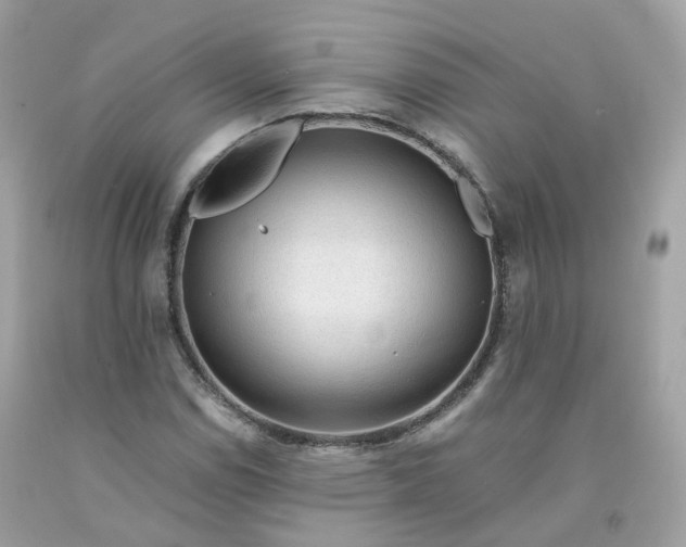 X0000091491114200709061855