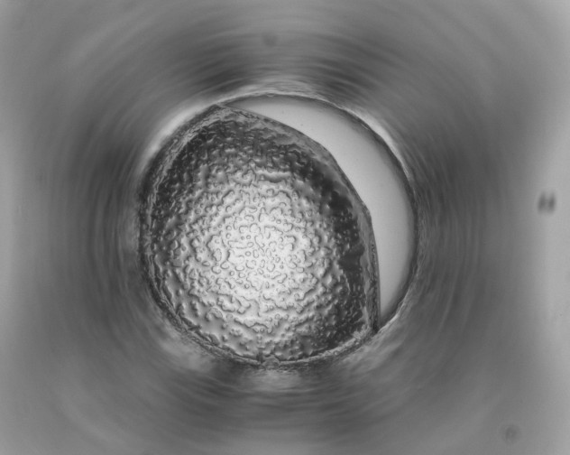 X0000091491115200709061855