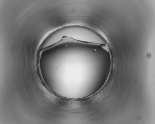 X0000091491116200709061855