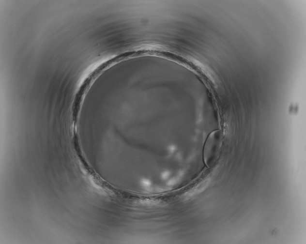 X0000091491117200709061855