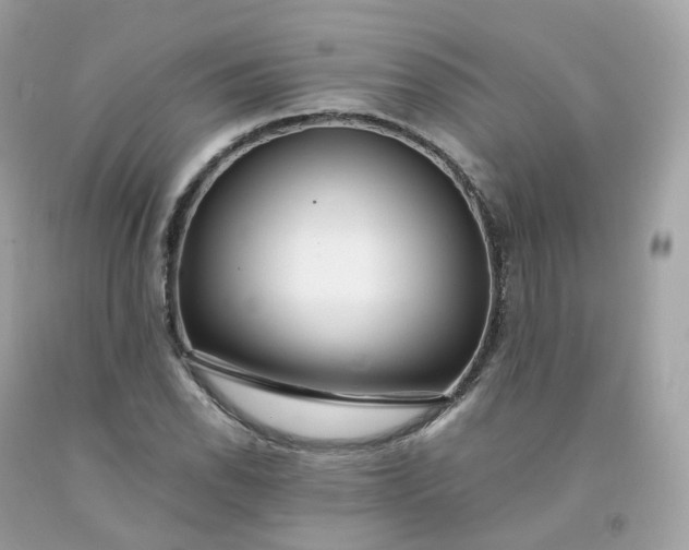 X0000091491118200709061855