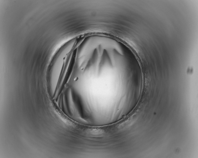 X0000091491119200709061855