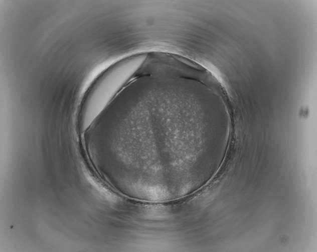 X0000091491120200709061855