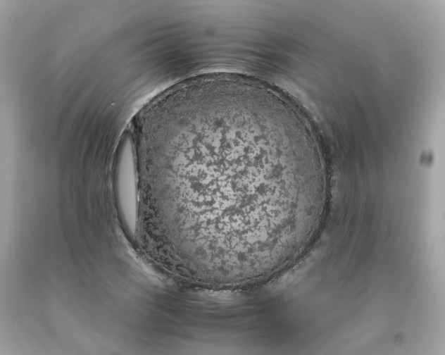 X0000091491121200709061855