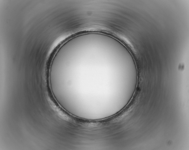 X0000091491122200709061855