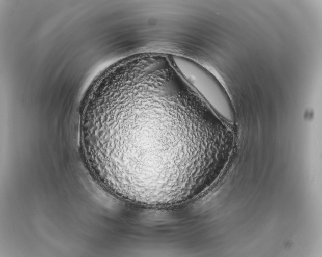 X0000091491123200709061855