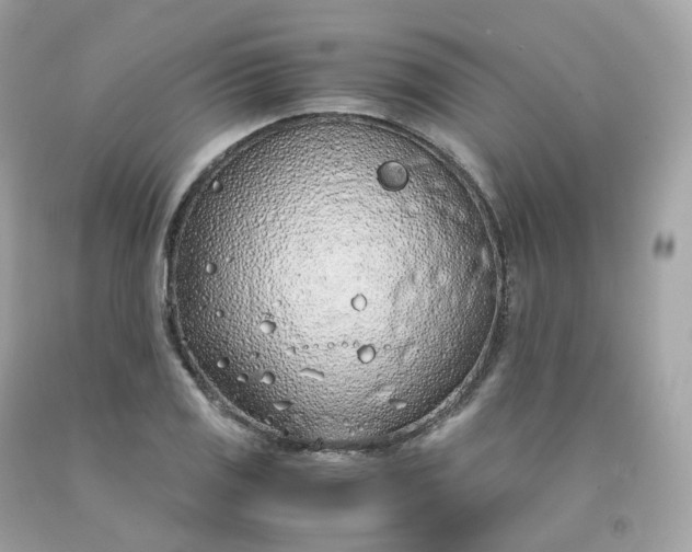 X0000091491125200709061855