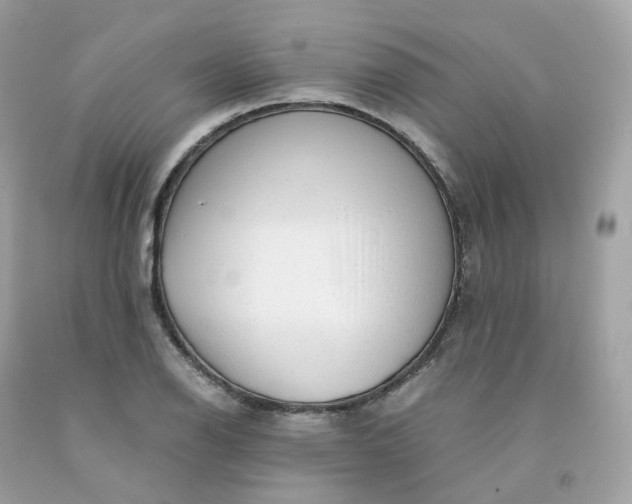 X0000091491126200709061855