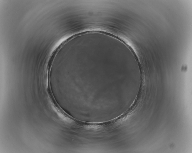 X0000091491127200709061855