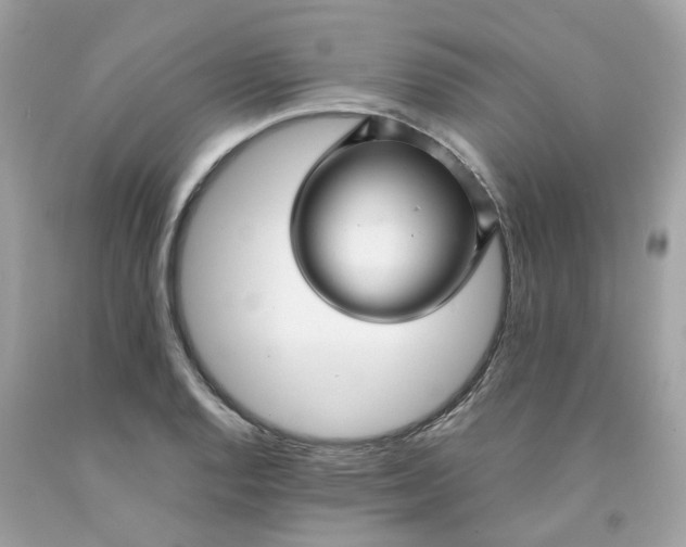 X0000091491128200709061855