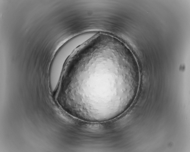 X0000091491129200709061855