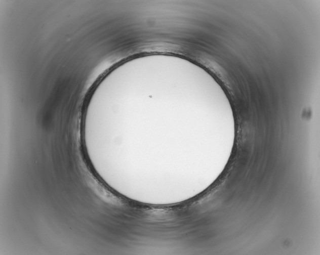 X0000091491130200709061855