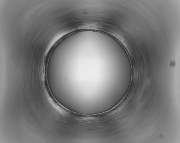 X0000091491131200709061855