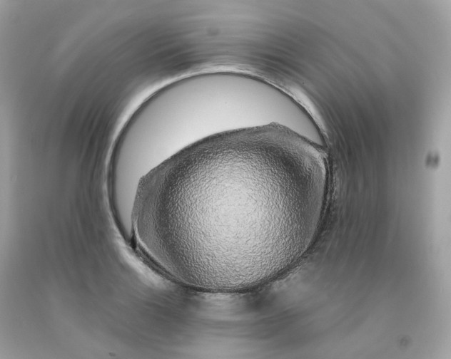 X0000091491132200709061855