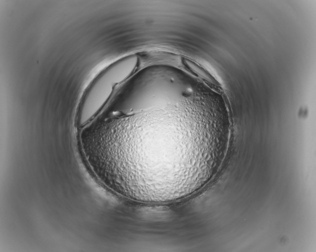 X0000091491133200709061855